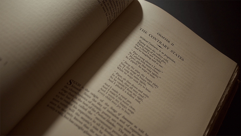 ナンサッチプレス